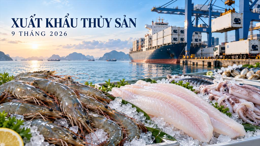 Xuất khẩu thủy sản 9 tháng: tăng trưởng và triển vọng quý IV